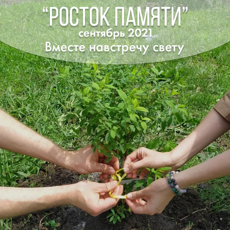 Вот уже в пятый раз проходит Всероссийская акция «Росток Памяти»