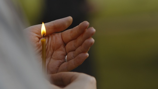 «Росток памяти» — встреча, которая соединяет сердца