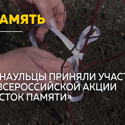 Барнаульцы высадили десятки кустарников в память о погибших малышах 