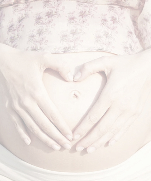 Программа “Домик малыша”