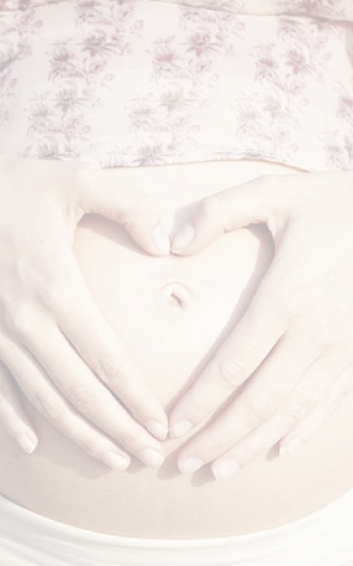 Программа “Домик малыша”